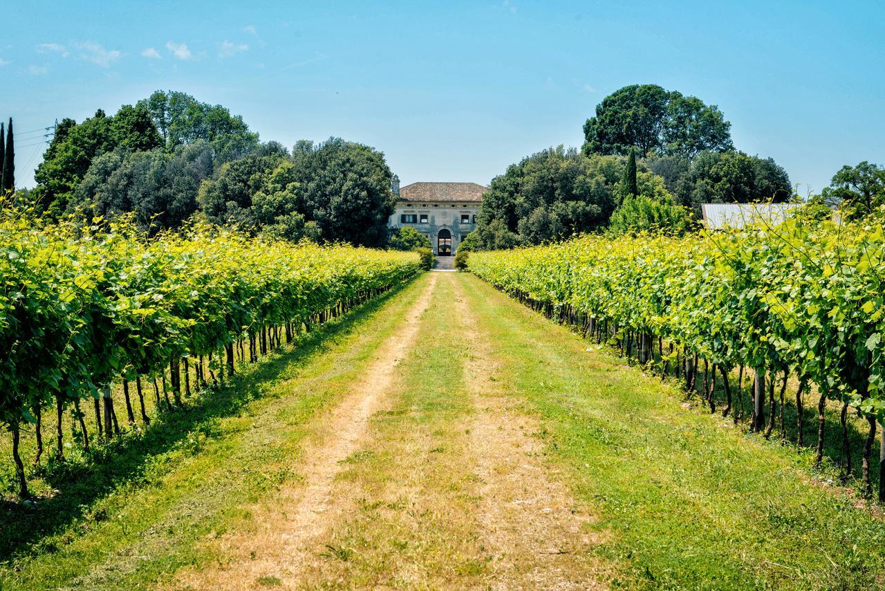 Relais Villa Sagramoso Sacchetti Verona Bagian luar foto