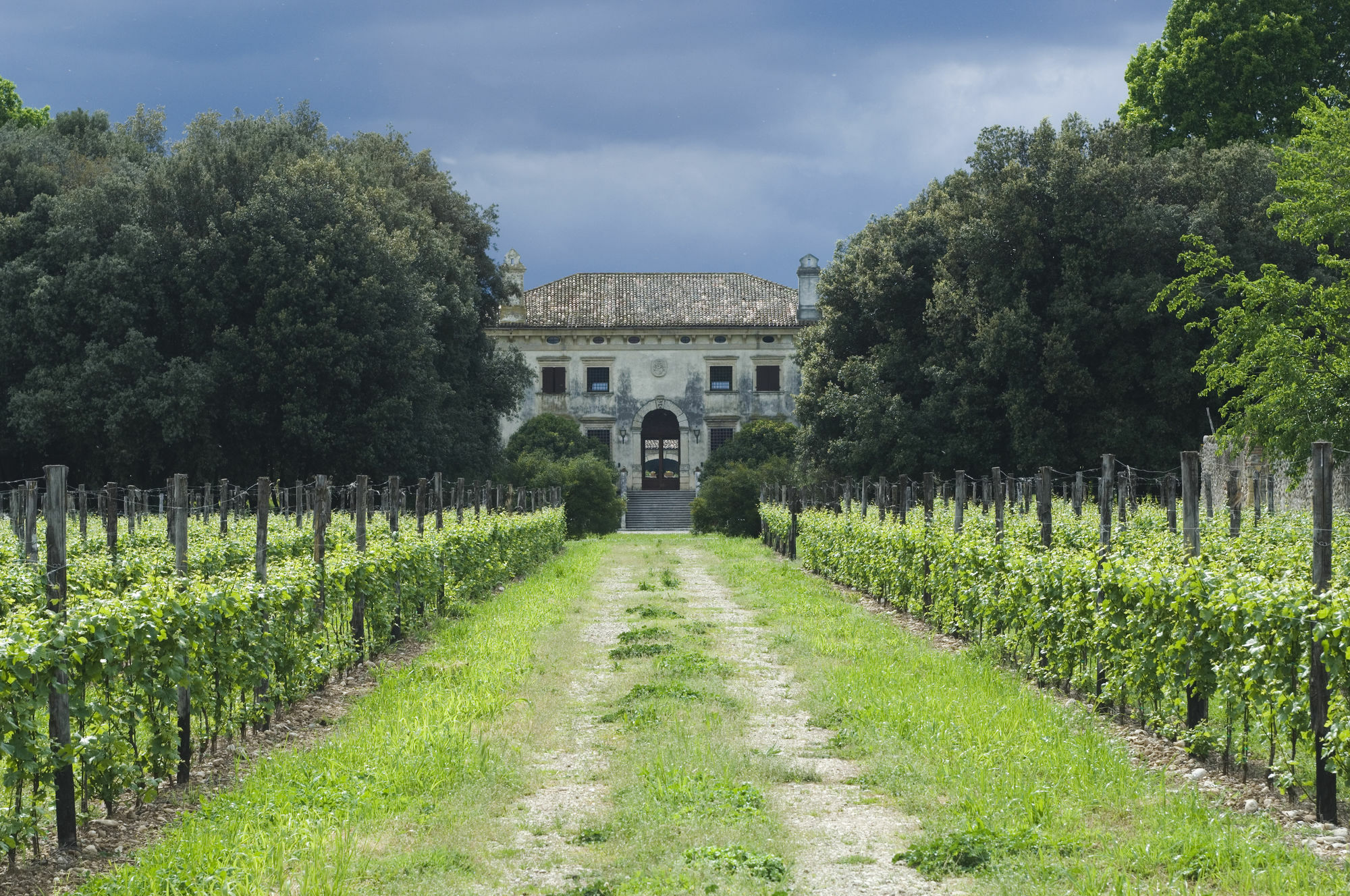 Relais Villa Sagramoso Sacchetti Verona Bagian luar foto